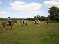 Horse riding lessons